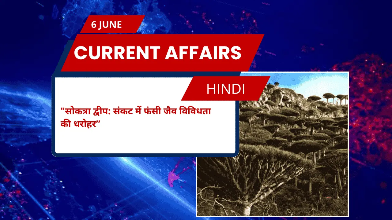 सोकत्रा द्वीप: संकट में फंसी जैव विविधता की धरोहर