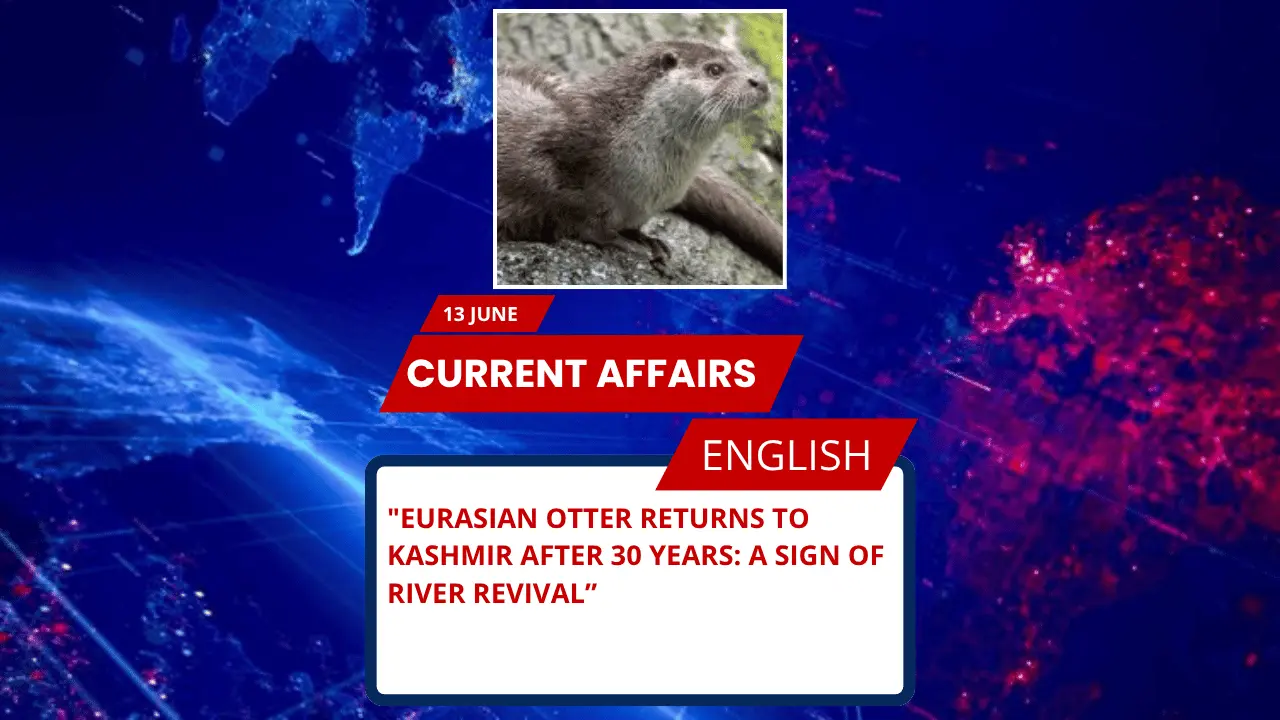 Eurasian Otter Returns to Kashmir After 30 Years: A Sign of River Revival